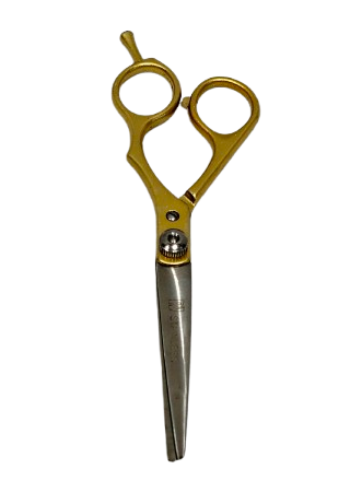 PRAT_or-removebg-preview